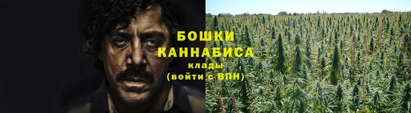 кокаин Белокуриха