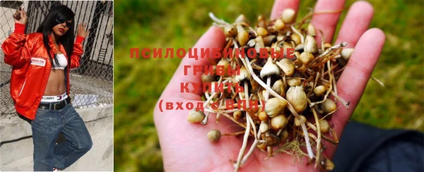 синтетический гашиш Богородск
