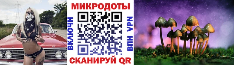 Галлюциногенные грибы GOLDEN TEACHER  Бугуруслан 